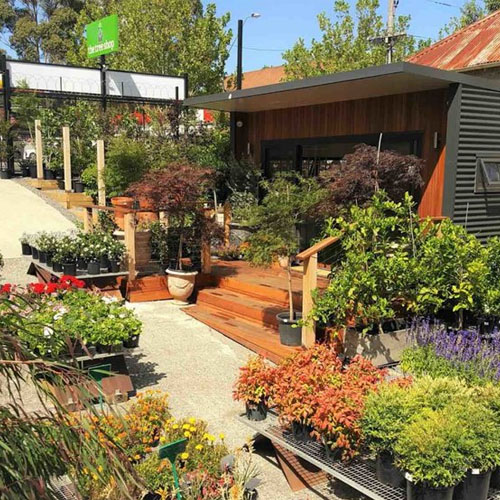 albert park nursery melbourne